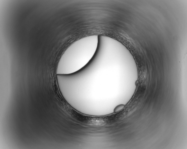 X0000093600749200710150957