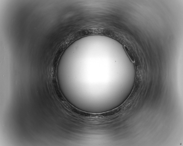 X0000093600752200710150957