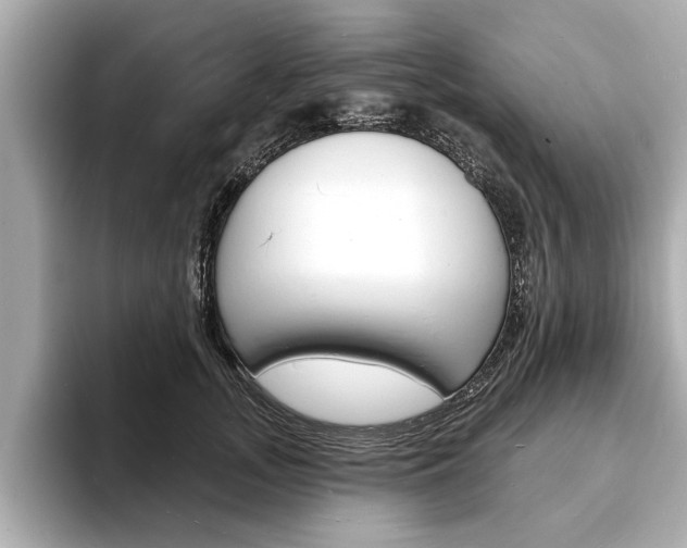 X0000093600755200710150957
