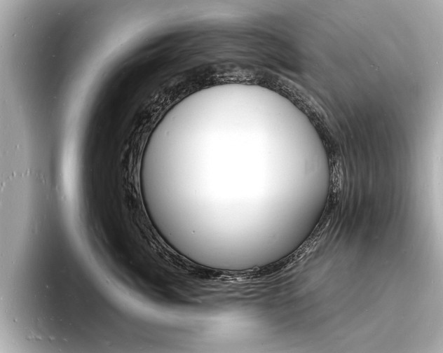 X0000093600764200710150958