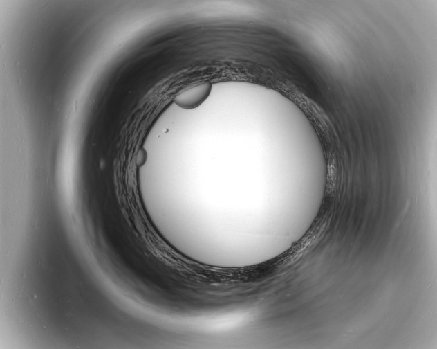 X0000093600765200710150958