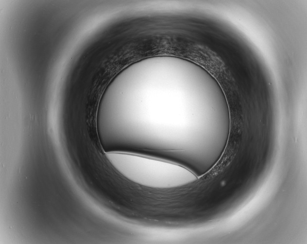 X0000093600766200710150958
