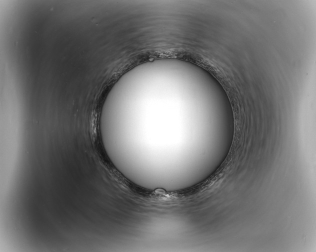 X0000093600768200710150958