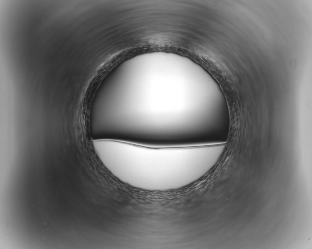 X0000093600776200710150957