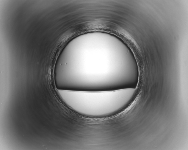 X0000093600777200710150957