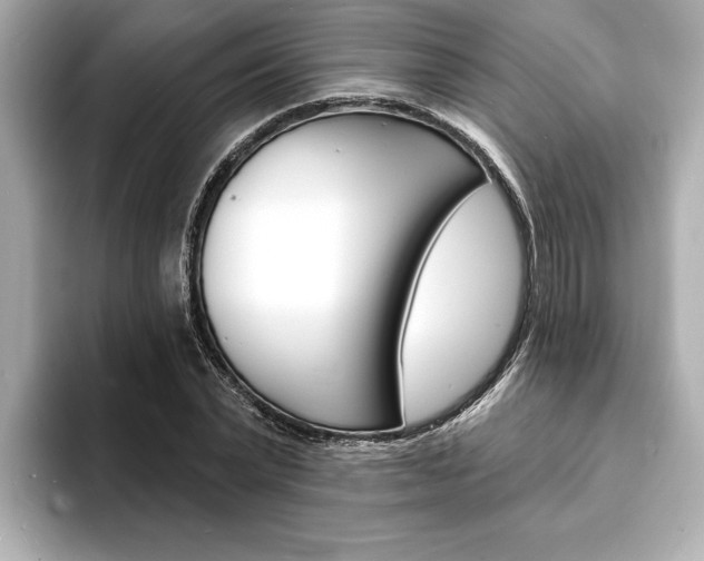 X0000093600783200710150957