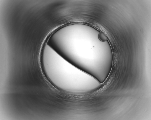 X0000093600787200710150957