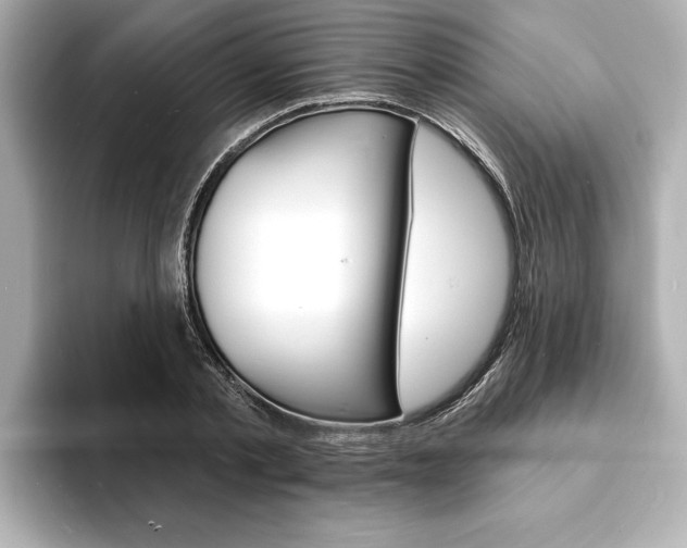 X0000093600789200710150957