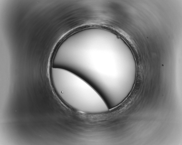 X0000093600791200710150957