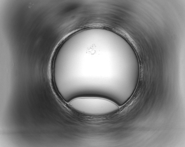 X0000093600795200710150957