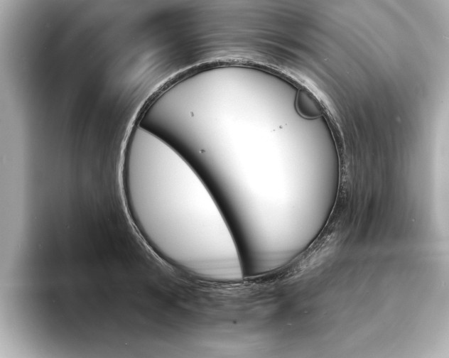 X0000093600799200710150957