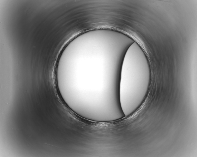 X0000093600806200710150957