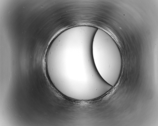 X0000093600814200710150956
