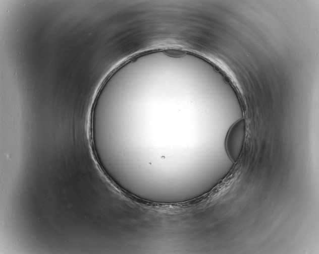 X0000093600815200710150956