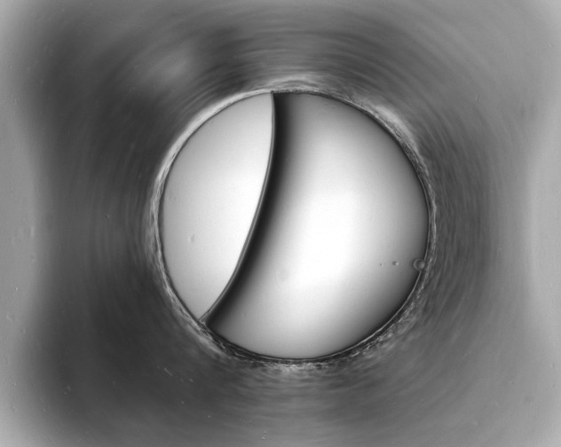X0000093600816200710150956