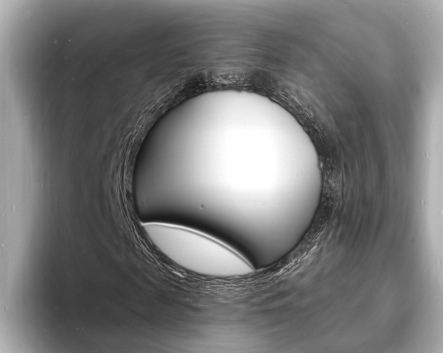 X0000093600817200710150956