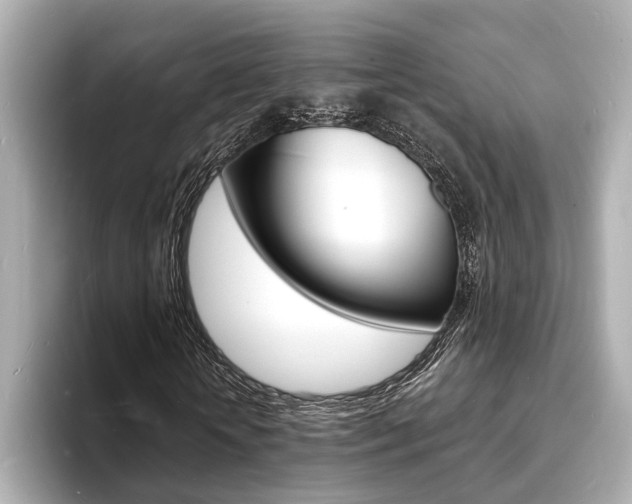 X0000093600818200710150956