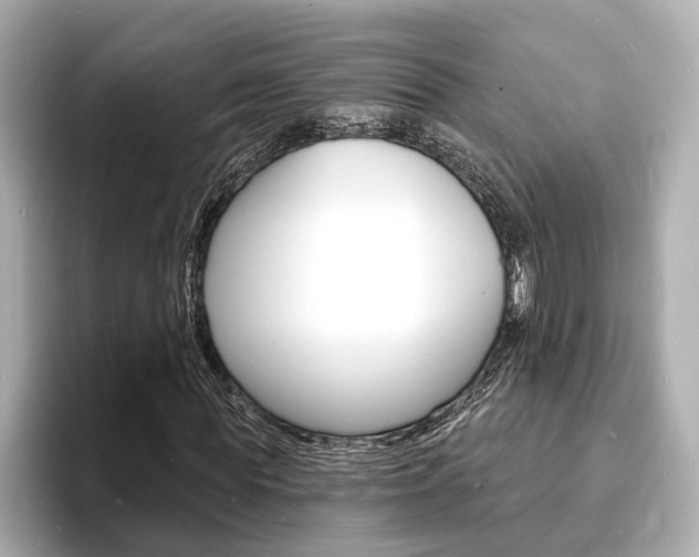 X0000093600819200710150956