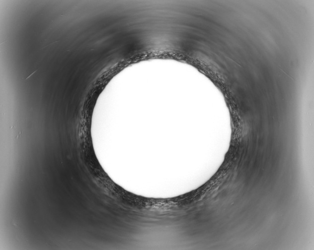 X0000093600824200710150956