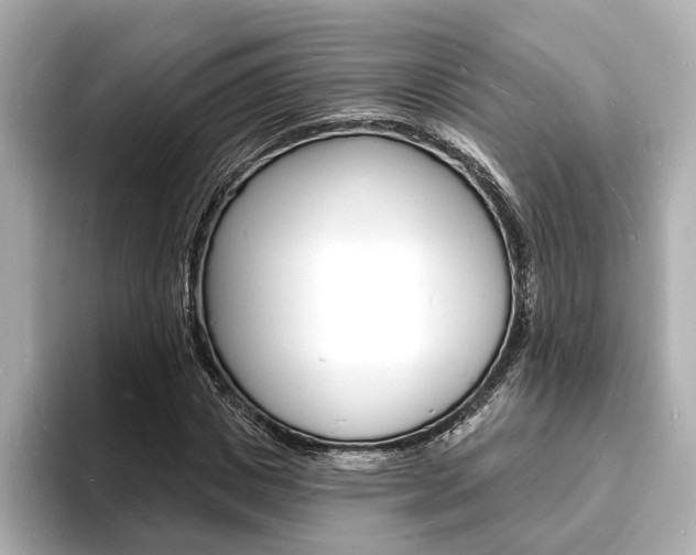 X0000093600825200710150956