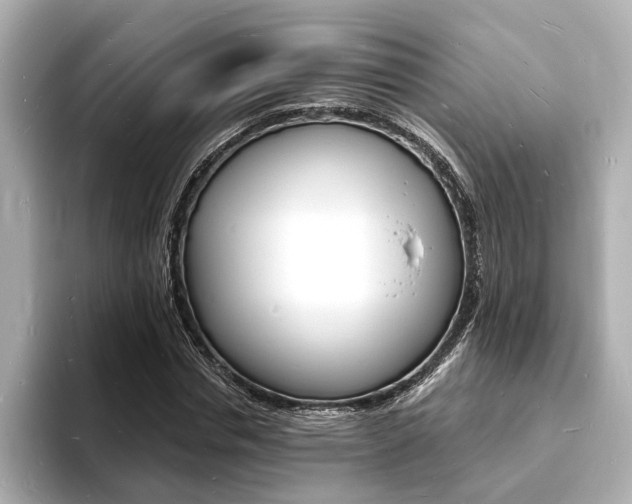 X0000093600826200710150956
