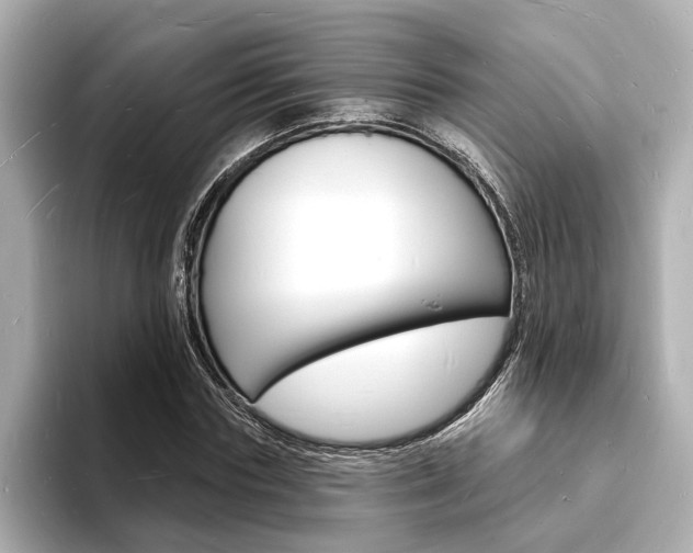 X0000093600827200710150956
