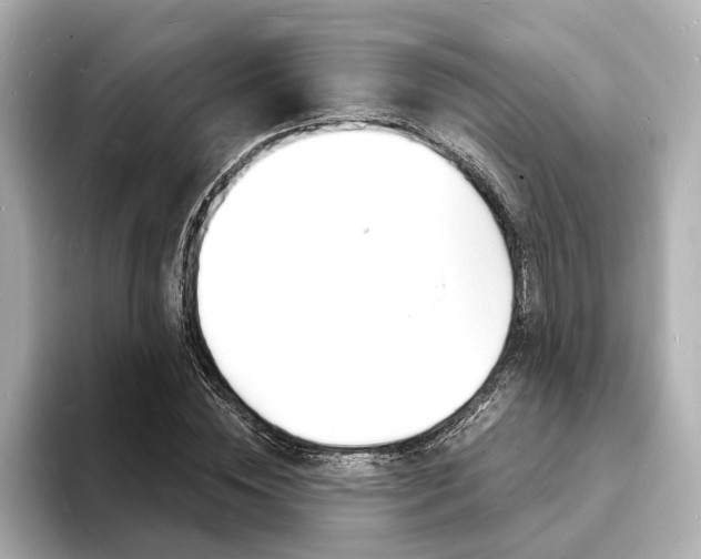 X0000093600828200710150956