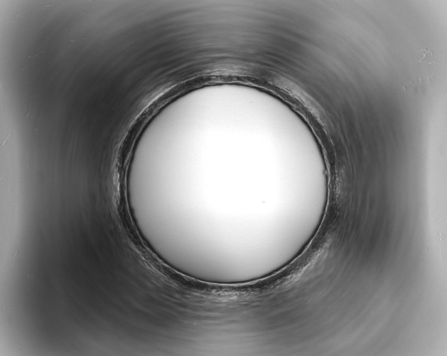 X0000093600829200710150956