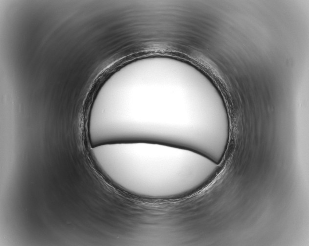 X0000093600831200710150956