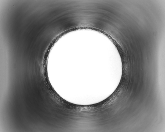 X0000093600832200710150956