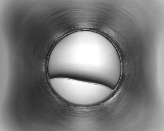 X0000093600833200710150956