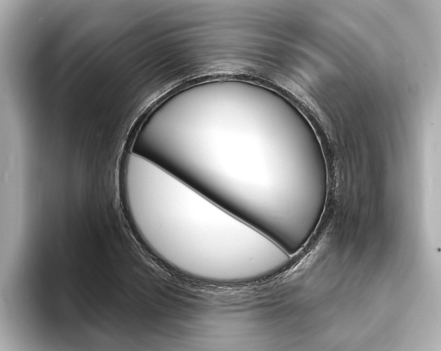 X0000093600834200710150956