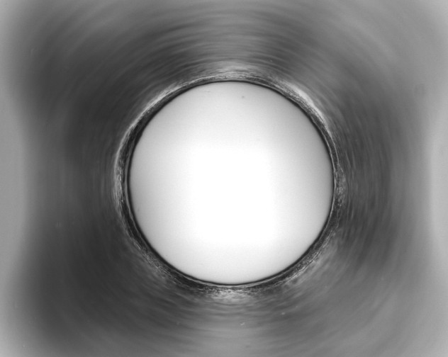 X0000093600835200710150956