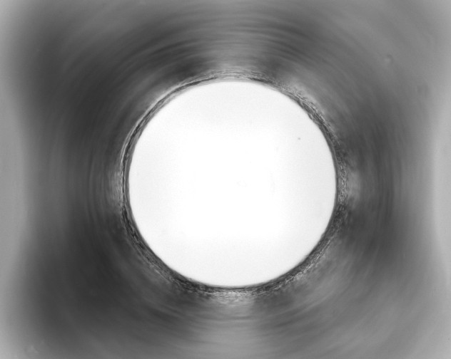 X0000093600836200710150956