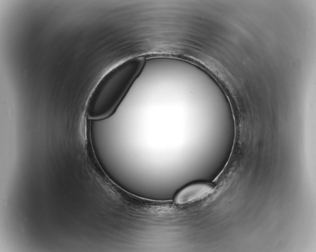 X0000093600838200710150956