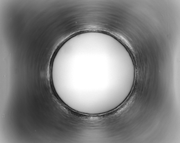 X0000093600839200710150956