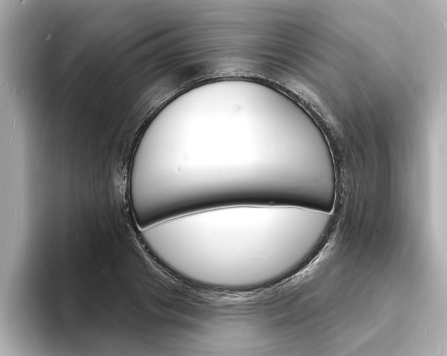 X0000093600841200710150956
