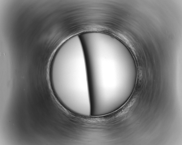 X0000093600843200710150956