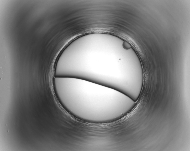 X0000093600844200710150956