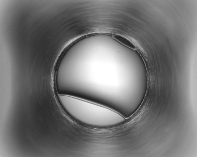 X0000093600846200710150956
