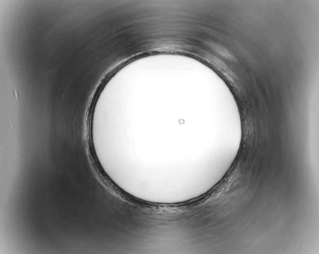X0000093600848200710150956