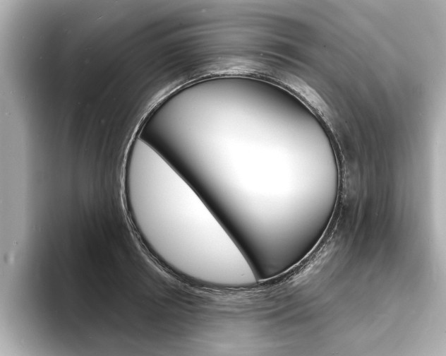 X0000093600850200710150956