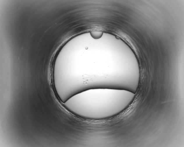 X0000093600851200710150956