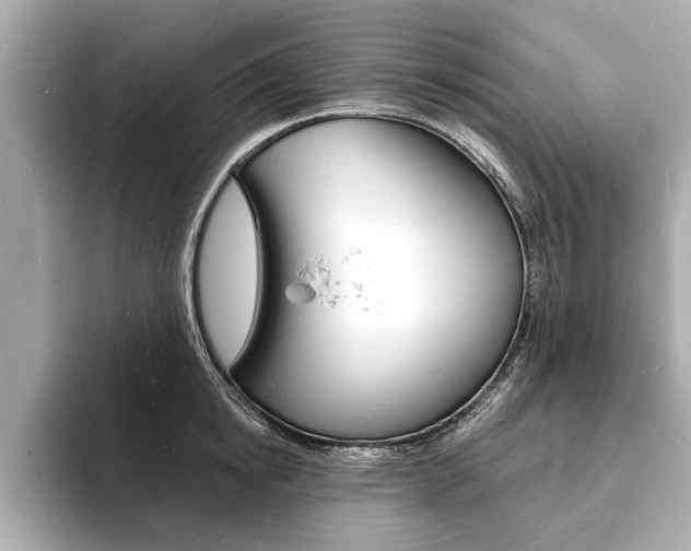 X0000093600854200710150956