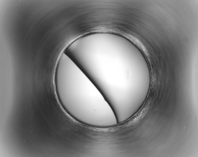 X0000093600855200710150956