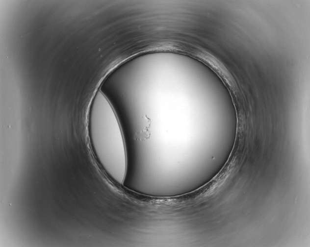 X0000093600858200710150956
