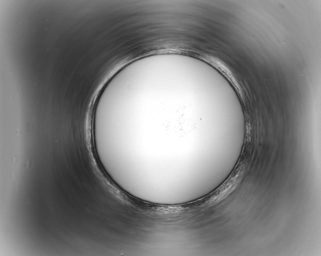 X0000093600859200710150956
