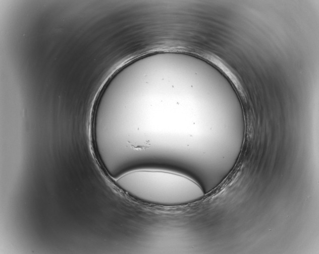 X0000093600861200710150956