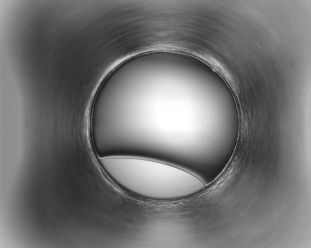 X0000093600862200710150956