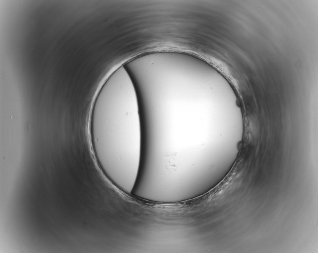 X0000093600863200710150956